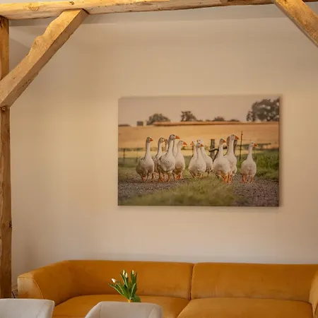 Reethus 22 Ferienlofts Bei Timmendorfer * Timmendorfer Strand