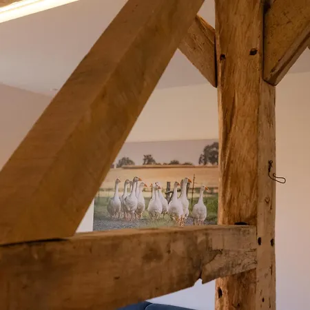 Reethus 22 Ferienlofts Bei Timmendorfer Apartment Timmendorfer Strand